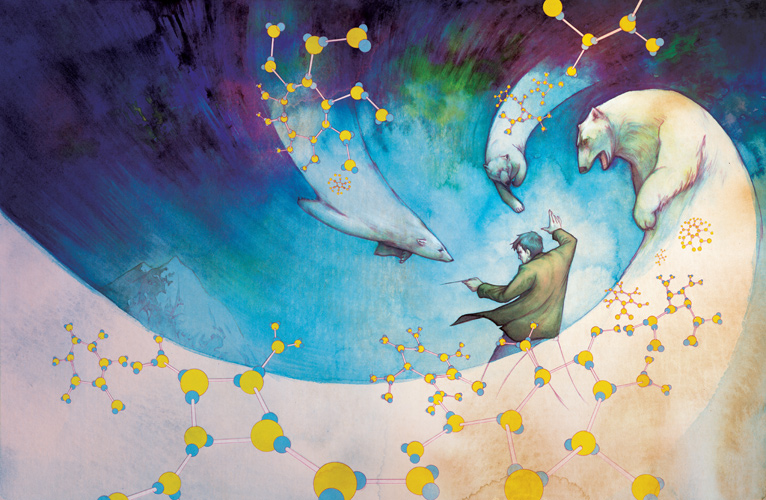 2008_hp_chemset_nf_cover_color.jpg